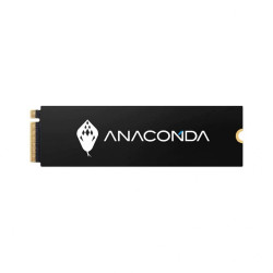 ANACONDA I2 FIERY SERPENT M.2 128GB NVME SSD